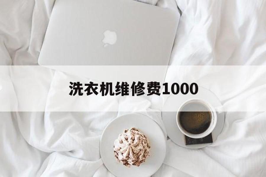 洗衣机维修费1000_洗衣机维修费800还修吗