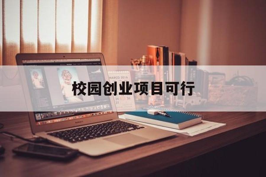 校园创业项目可行_校园创业项目可行性分析怎么写